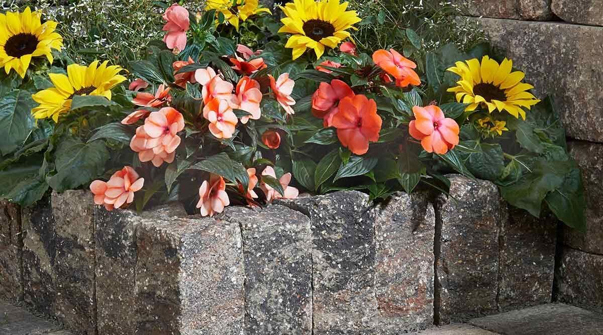 Palisade, TERRA ROMA-PALISADE,  40x~12,5x~12,5, Muschelkalk