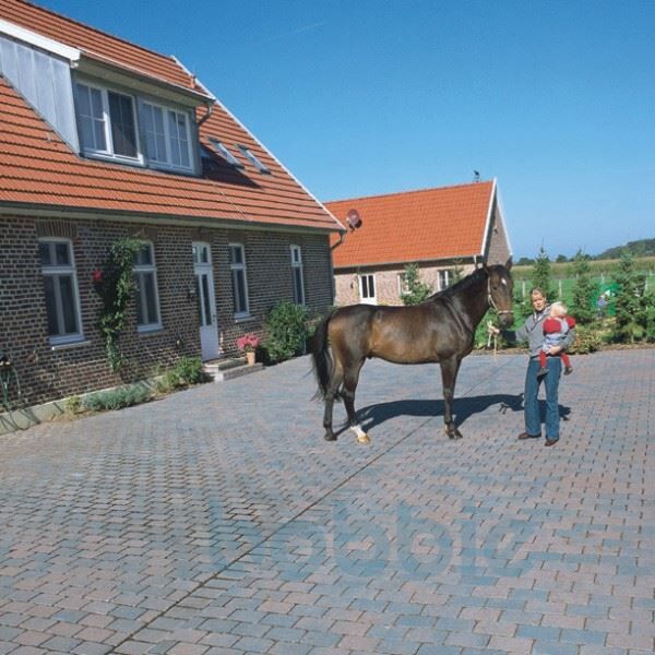 PEBSoeko-oldie1629376865bobbie Pflasterstein Öko-Oldie® 24/16 cm mit PosoLoc® Verbundfuge