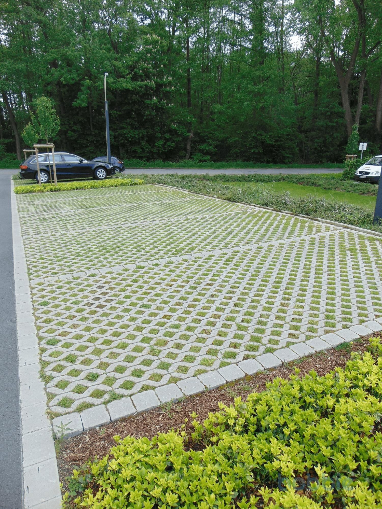 PEBSrasengittersteine1629376865bobbie Pflasterstein Rasengittersteine