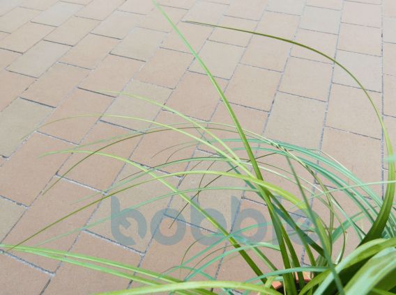 RUFBviale1632390487bobbie Gestaltungspflaster VIALE