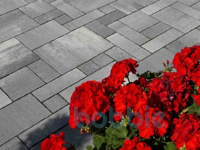 Pflasterstein Gallina