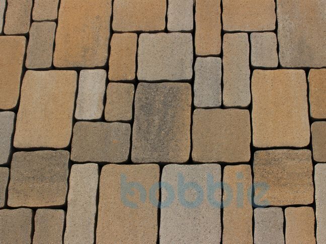 Pflasterstein Ciconia