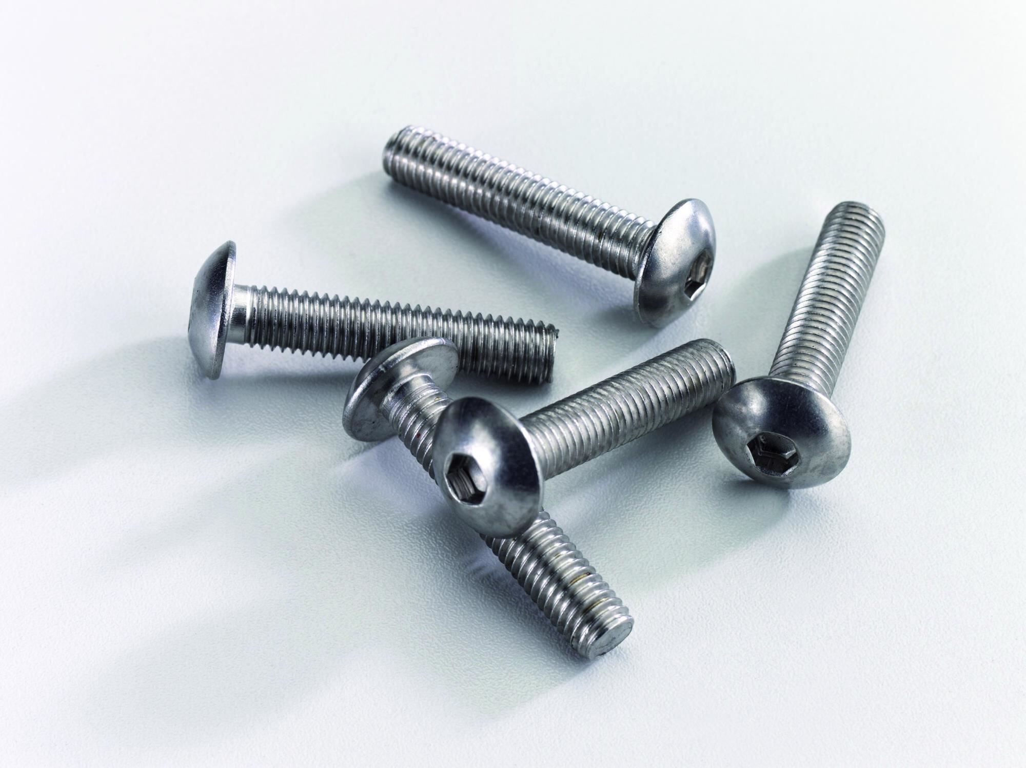 Sicherheitsschraube M8 x 40. Edelstahl