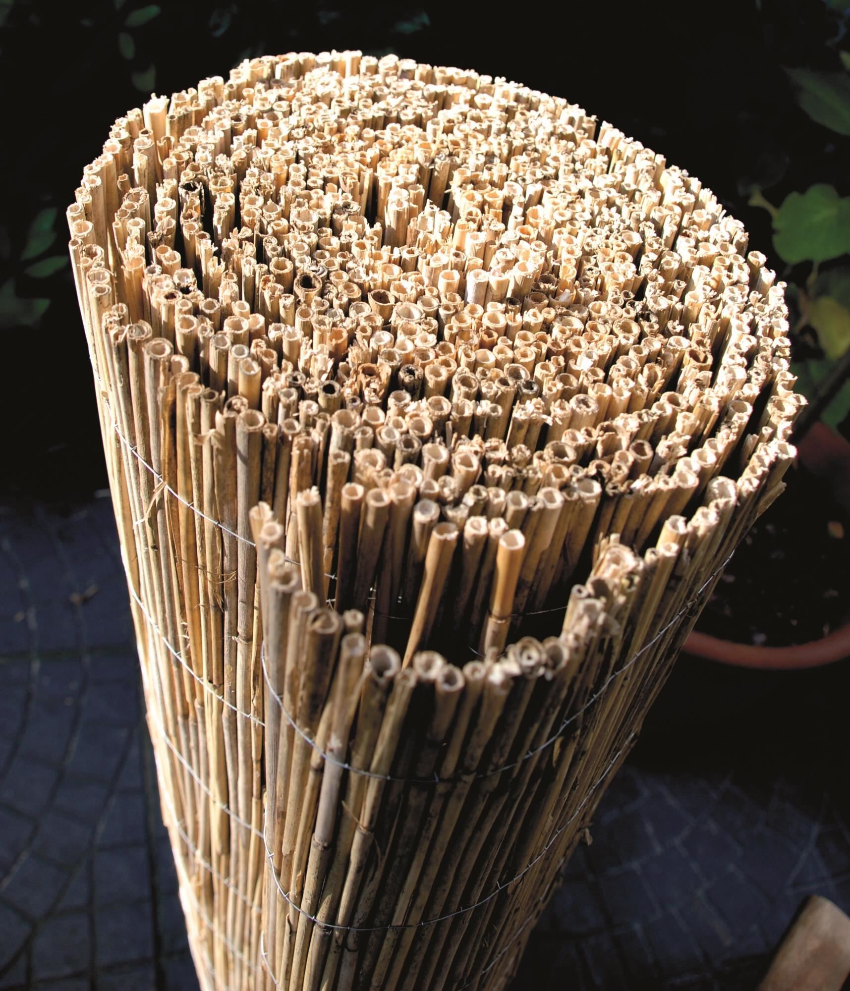 TETZ296251676469038bobbie SYLT Schilfrohrmatte 6.00 x 1.60 m mit verzinktem Draht