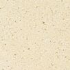 BIRKSchwimmbad-Randplatten1746618027bobbie