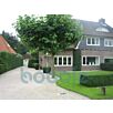 BERA11000621630324327bobbie