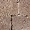berdBasalitAntikQuadstein1414TBraun1733304957bobbie