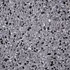 berdModulaFeinQuadratsteinMG20201733304957bobbie