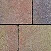 berdBasalitQuadratsteinHerbstlaub1733304957bobbie