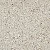 berdModulaKardinalQuadratstBeige20201733304957bobbie