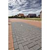 berdModulaPlusRechteckstein295Anzit1733304957bobbie