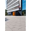 berdModulaPlusRechteckstein595Natur1733304957bobbie