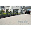 BET0Arte_Linea1629284105bobbie