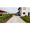 betocarre_pflaster_muschelkalk_30x201658487611bobbie