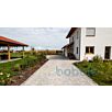 betoPflCarre1715696468bobbie