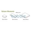 betoTerPNatureMoments1715696468bobbie