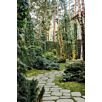 BRA0arena_belcante_pflasterplatten1715941356bobbie