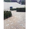 BRA0arena_belcante_s101715941356bobbie