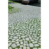 BRA0arena_rasenstein1715941356bobbie