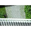 BRA0arena_rasenstein1715941356bobbie