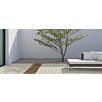 BRA0velvet_concrete_planline1715941357bobbie