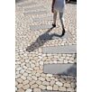 BRA0mezzo_braun1715941357bobbie