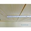 BRAU121645098065bobbie