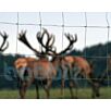 DRAHforstknotengeflecht1634389865bobbie