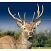 DRAHforstknotengeflecht1634389865bobbie