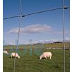 DRAHleichtes-knotengeflecht1712565007bobbie