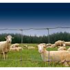 DRAHleichtes-knotengeflecht1712565007bobbie