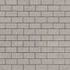FCNDthueringer1739874936bobbie