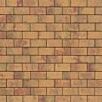 FCNDthueringer1739874936bobbie