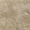 FCNDsanturo-terrassenplatten1739874936bobbie