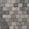 FCNDtegula-variiert1739874936bobbie
