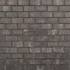 FCNDthueringer-drain1739874936bobbie