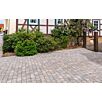 FCNDschlosshof-exakt-einzelformate1739874936bobbie