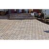FCNDheringer-altstadt1739874936bobbie