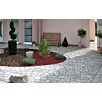 FCNDschlosshof-mix-klein1739874936bobbie