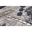 FCNDtrento-von-steinwerk1739874936bobbie