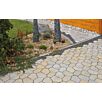 FCNDhacienda-campo1739874936bobbie