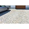 FCNDthueringer-drain1739874936bobbie