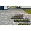 FCNDschlosshof-mix-gross1739874936bobbie