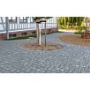 FCNDschlosshof-mix-klein1739874936bobbie