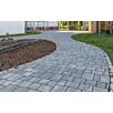 FCNDschlosshof-mix-klein1739874936bobbie