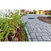 FCNDschlosshof-mix-klein1739874936bobbie