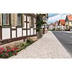 FCNDschlosshof-exakt-einzelformate1739874936bobbie
