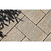 FCNDsanturo-terrassenplatten1739874936bobbie