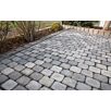 FCNDtegula-variiert1739874936bobbie