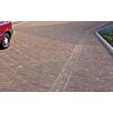 FCNDthueringer1739874936bobbie